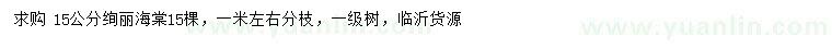 求購15公分絢麗海棠