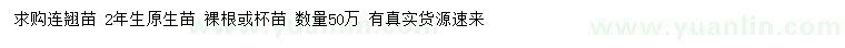 求購2年生連翹