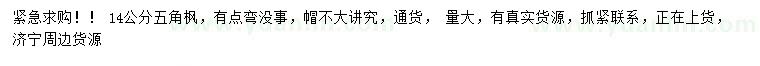 求購14公分五角楓