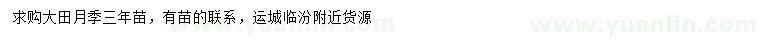 求購(gòu)3年生月季