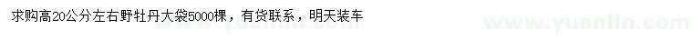 求購高20公分左右野牡丹大袋