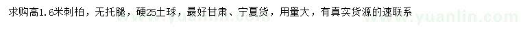 求購(gòu)高1.6米刺柏