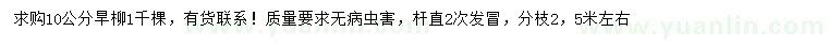 求購10公分旱柳