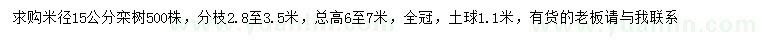 求購米徑15公分欒樹