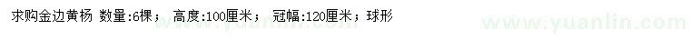 求購(gòu)高100公分金邊黃楊