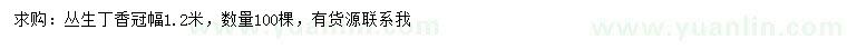 求購冠幅1.2米叢生丁香