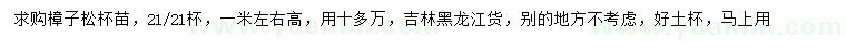 求購高1米左右樟子松