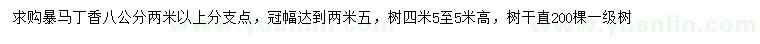 求購8公分暴馬丁香
