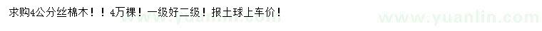 求購(gòu)4公分絲棉木
