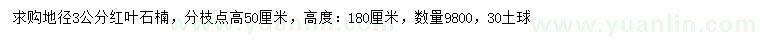 求購地徑3公分紅葉石楠