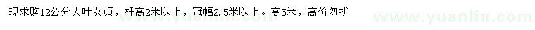 求購12公分大葉女貞