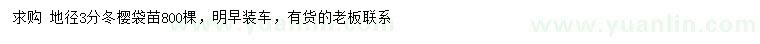 求購地徑3分冬櫻