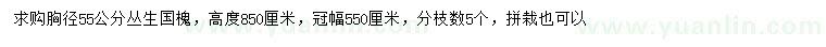 求購胸徑55公分叢生國槐