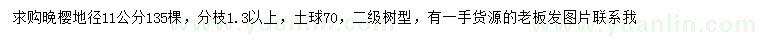 求購地徑11公分晚櫻