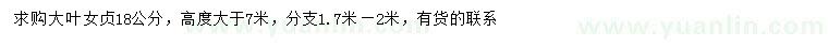 求購18公分大葉女貞