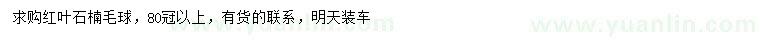 求購(gòu)冠幅80公分以上紅葉石楠球
