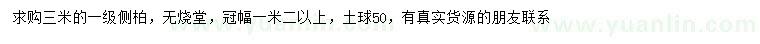 求購3米側(cè)柏