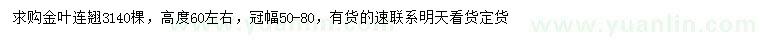 求購高60公分左右金葉連翹