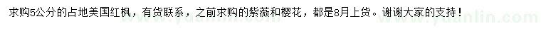 求購5公分美國紅楓