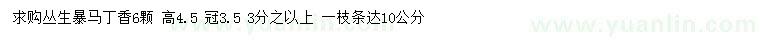 求購(gòu)高4.5米叢生暴馬丁香
