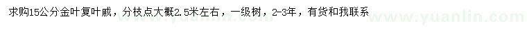 求購15公分金葉復(fù)葉槭