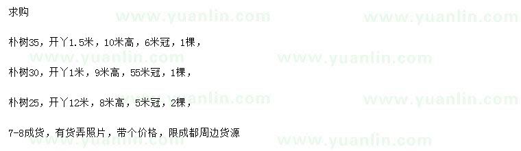 求購(gòu)25、30、35公分樸樹(shù)