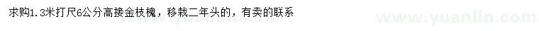 求購1.3米量6公分高接金枝槐