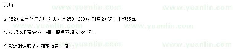 求購(gòu)冠幅200公分叢生大葉女貞、1.8-2米蜀檜