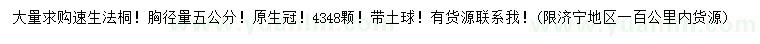 求購胸徑5公分速生法桐