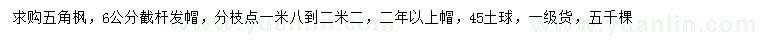 求購6公分五角楓
