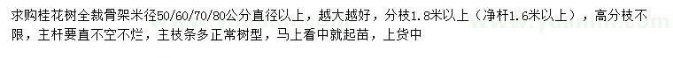 求購(gòu)米徑50、60、70、80公分以上桂花
