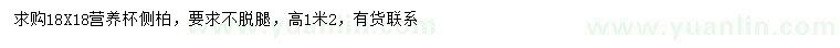 求購高1.2米側(cè)柏