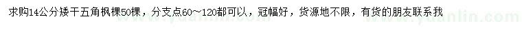 求購(gòu)14公分五角楓