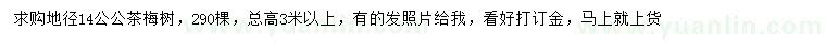 求購地徑14公公茶梅