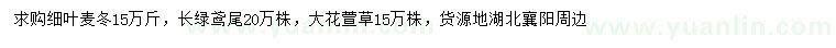 求購細葉麥冬、長綠鳶尾、大花萱草