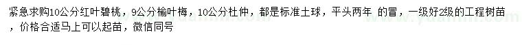 求購紅葉碧桃、榆葉梅、杜仲