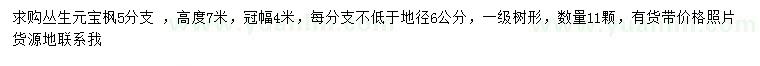 求購高7米叢生元寶楓