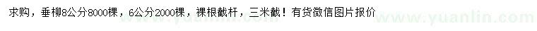 求購6、8公分垂柳