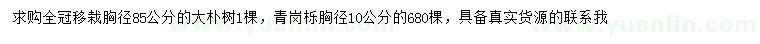 求購(gòu)胸徑85公分樸樹(shù)、胸徑10公分青崗櫟