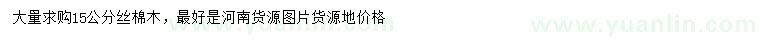 求購15公分絲棉木