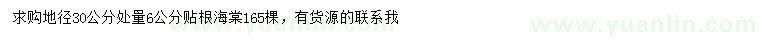 求購30量6公分貼根海棠