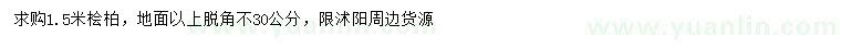 求購1.5米檜柏