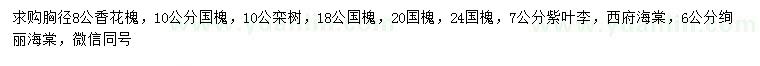 求購(gòu)香花槐、國(guó)槐、欒樹等