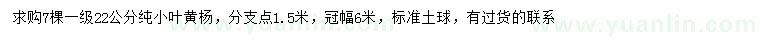 求購(gòu)22公分小葉黃楊