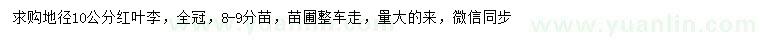 求購地徑10公分紅葉李