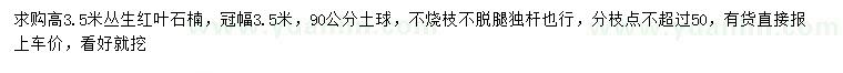 求購高3.5米叢生紅葉石楠