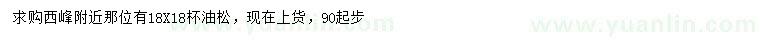 求購90公分以上油松