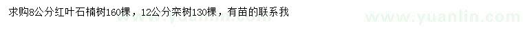 求購(gòu)8公分紅葉石楠、12公分欒樹(shù)