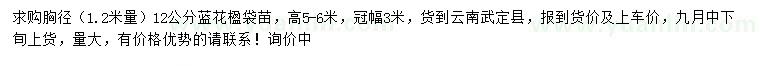 求購1.2米量12公分藍(lán)花楹