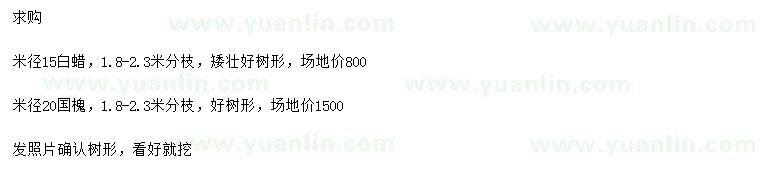 求購米徑15公分白蠟、米徑20國槐